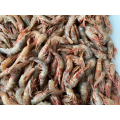 Frozen Sea Shrimp Whiskered Velvet Frozen Whiskered Velvet Sea Shrimp Factory